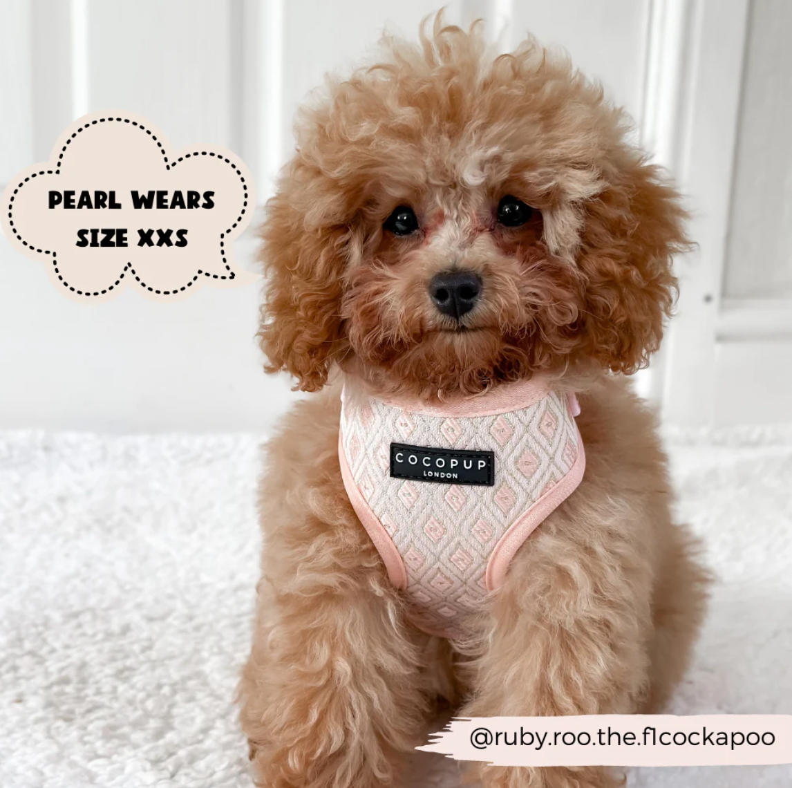 LUXE Embroidered Glitter Adjustable Neck Harness - Puperella