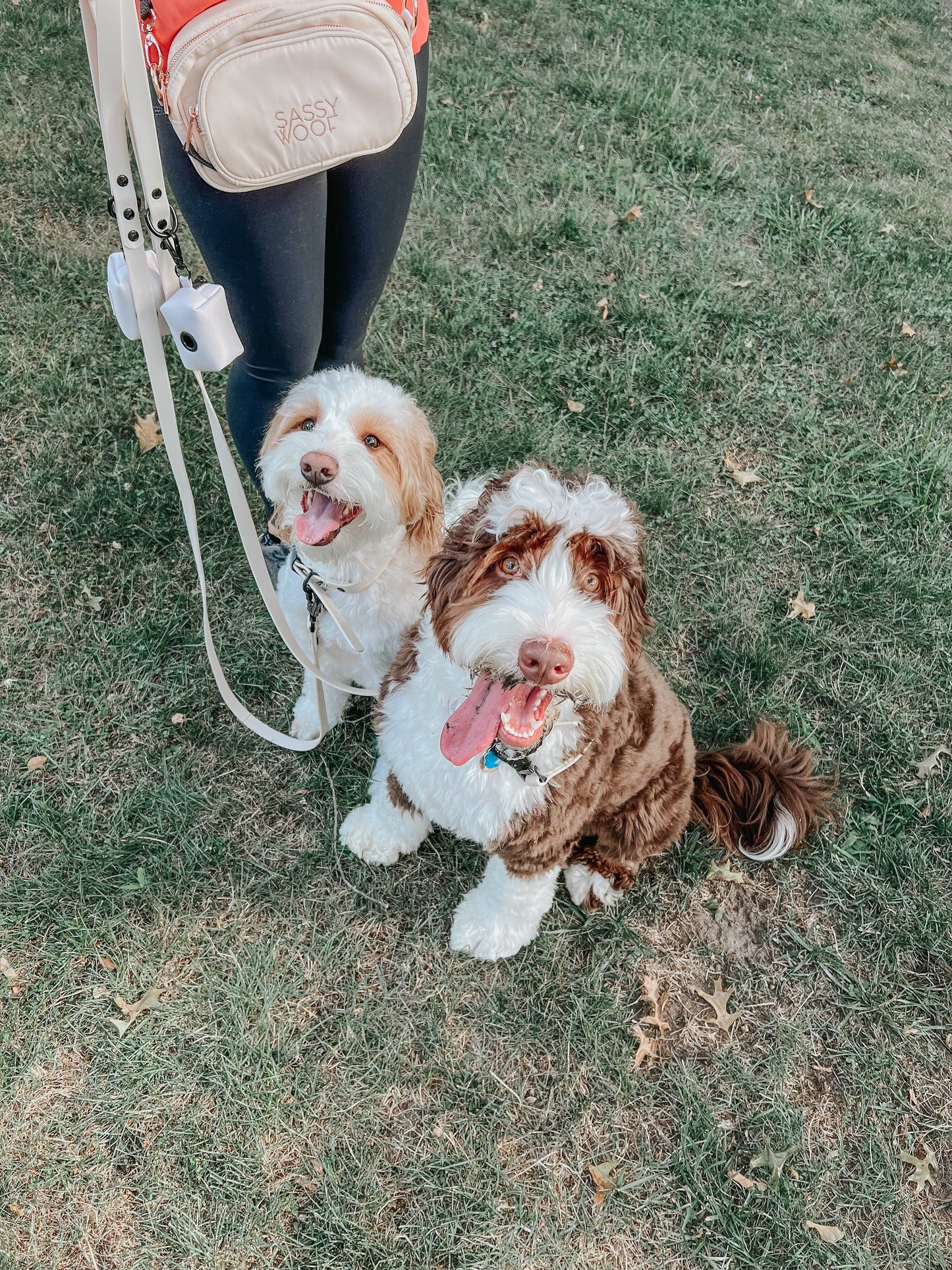 Waterproof Dog Leash - Beige