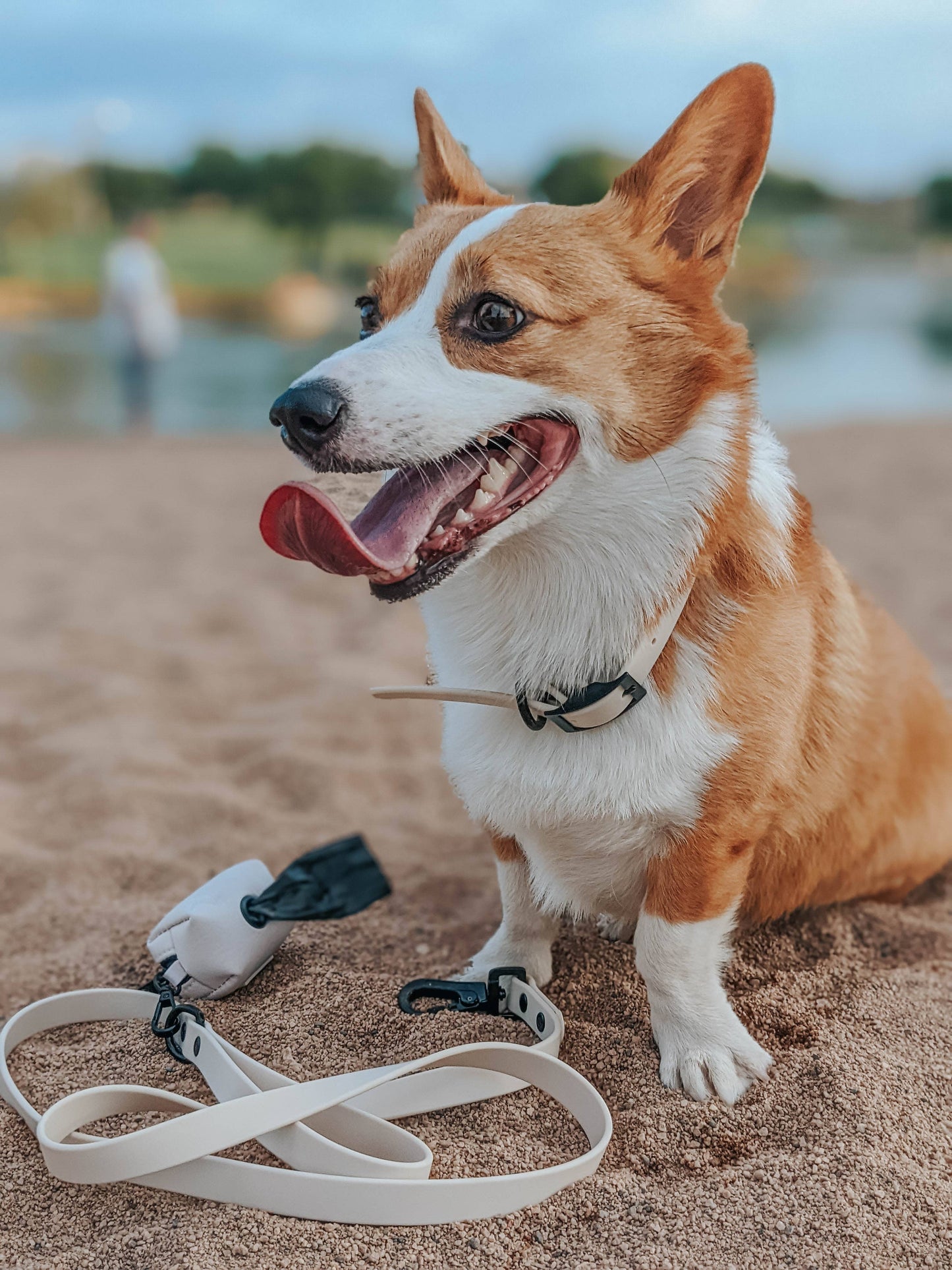 Waterproof Dog Leash - Beige