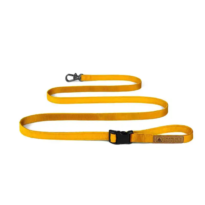 Easy Leash