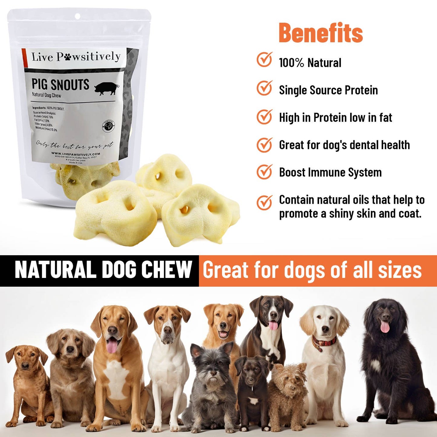 Pig Snout 4 Pack - Natural dog chew