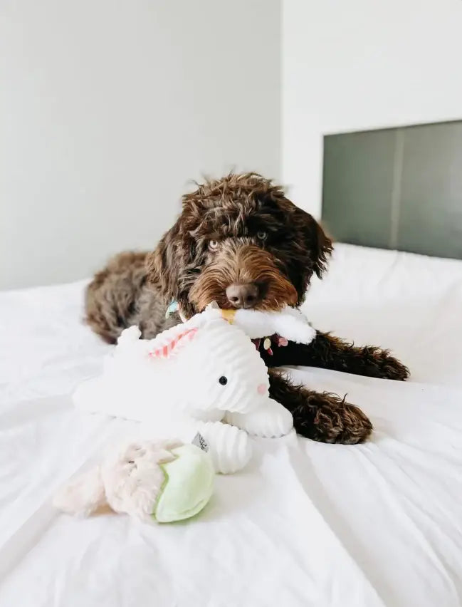 Easter Bunny Egg Dog Toys