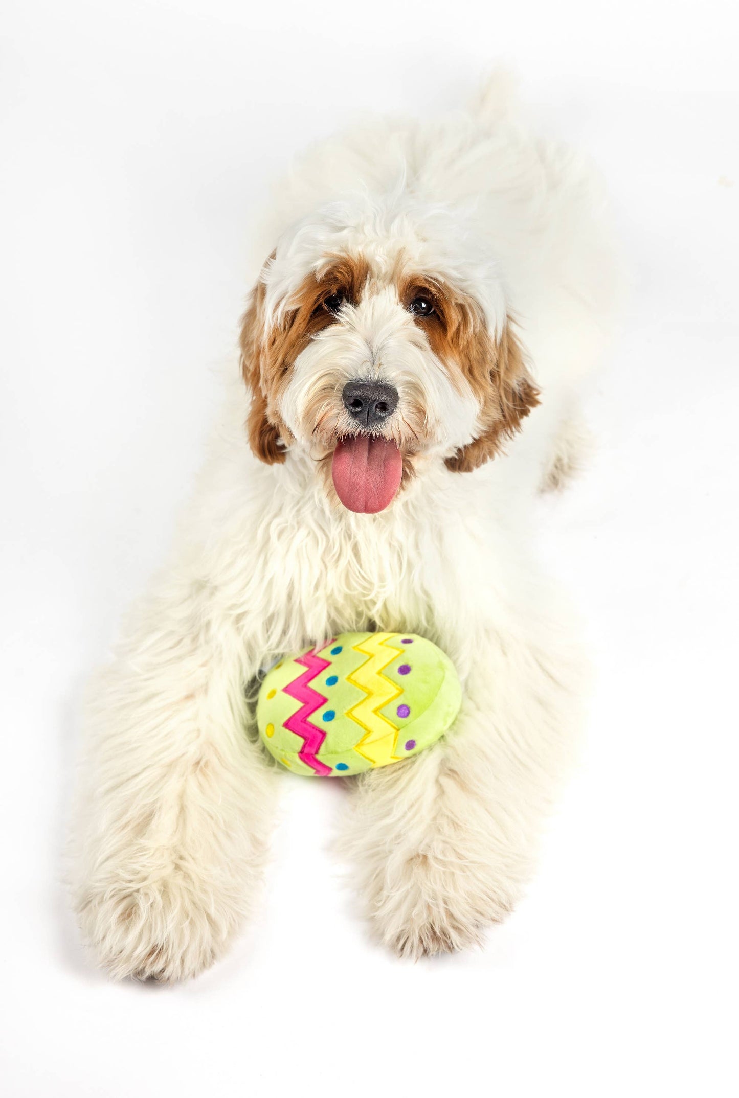 Plush Easter Egg Dog Toy with Squeaker