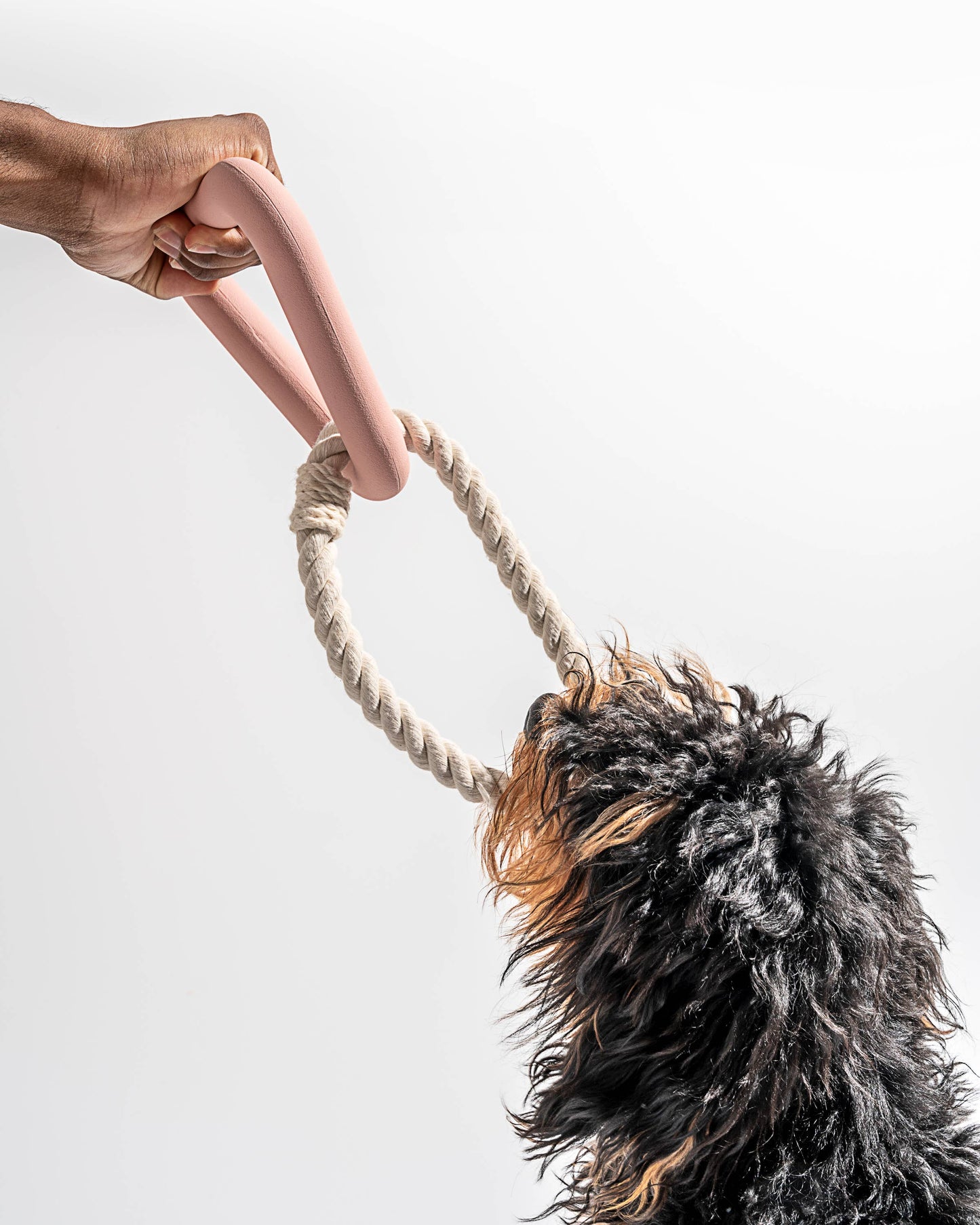 Triangle Tug Dog Chew Toy: STANDARD / Blue
