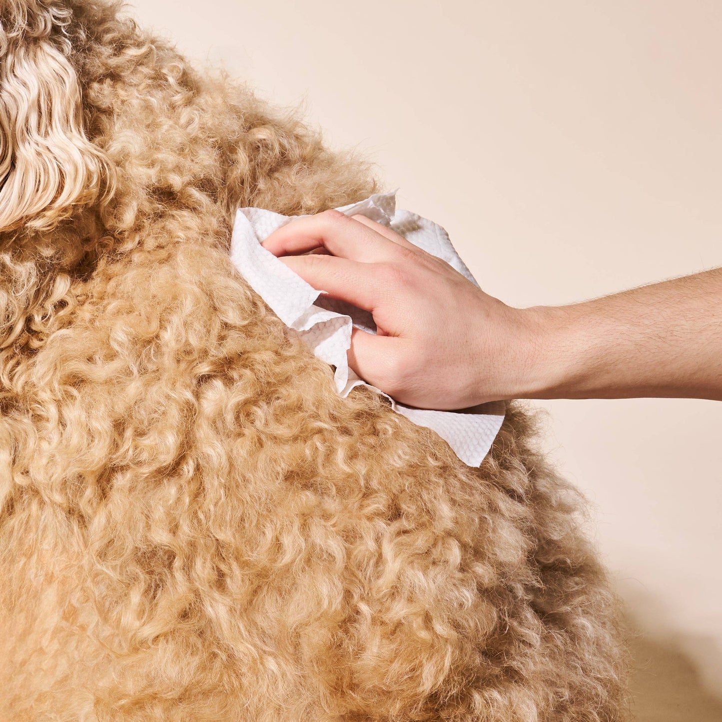 So Fresh, So Clean Probiotic Dog Wipes