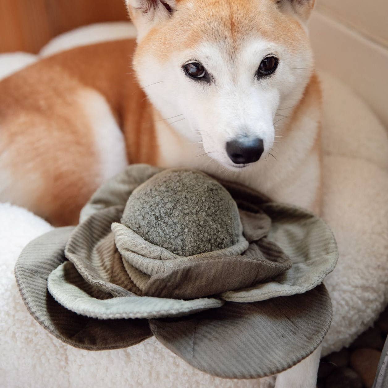 CABBAGE POP//ENRICHMENT DOG TOY: Green / Large