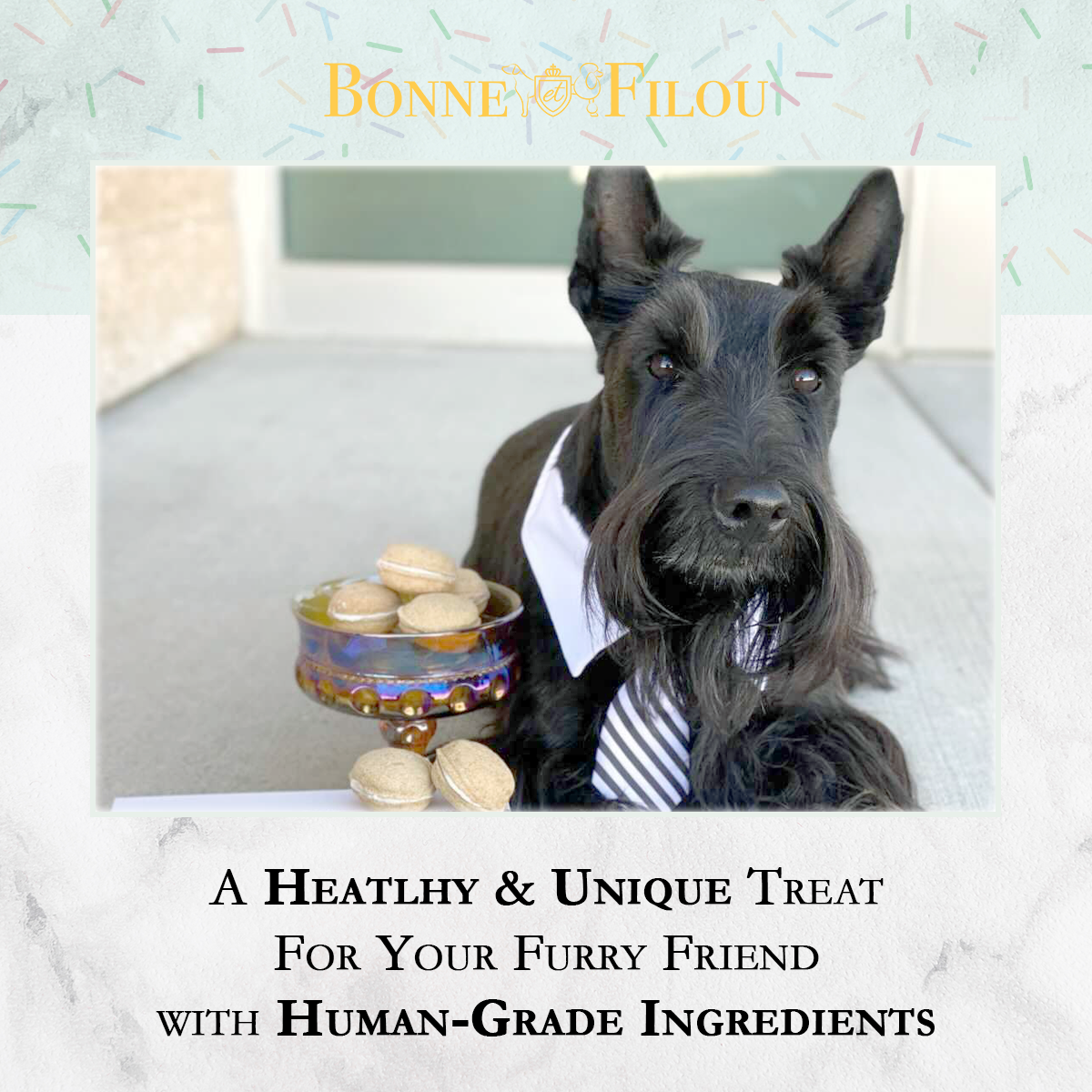 3-ct Birthday Cake Macaron Dog Treats - Valentines Day Gift