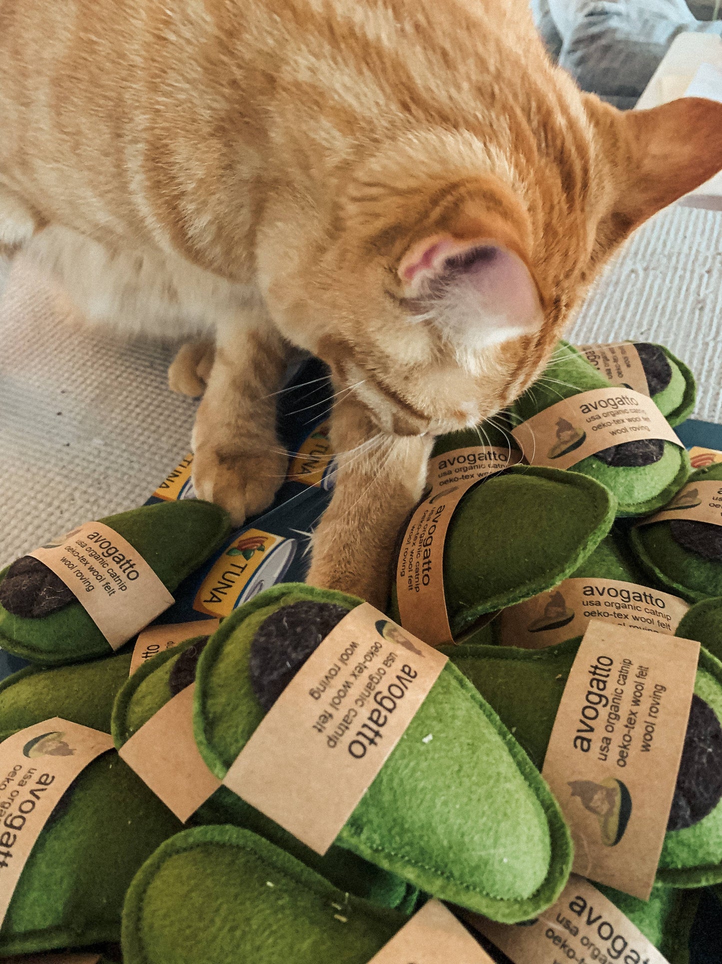 Avogatto Cat Toy