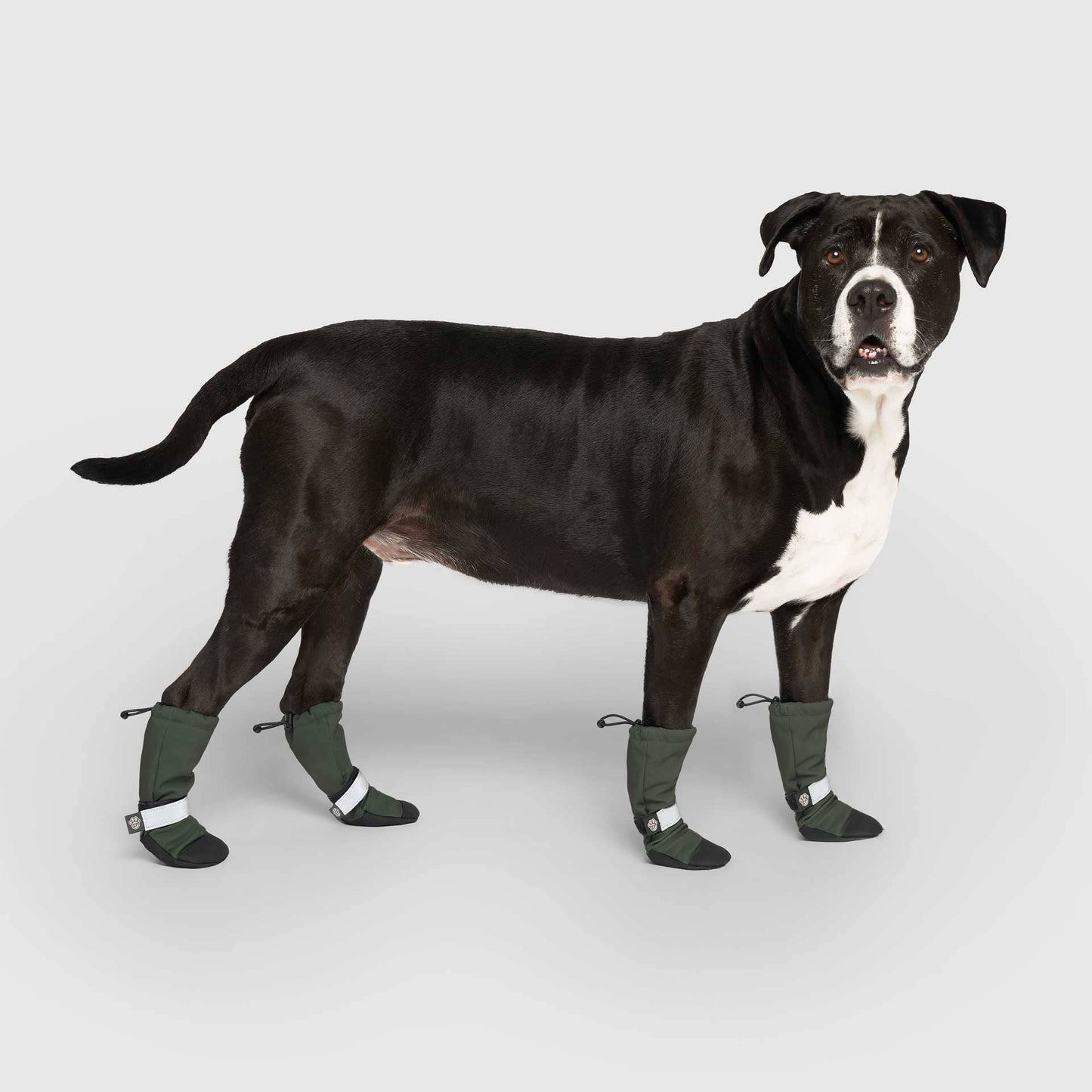 Soft Shield Boots- Dog Boots