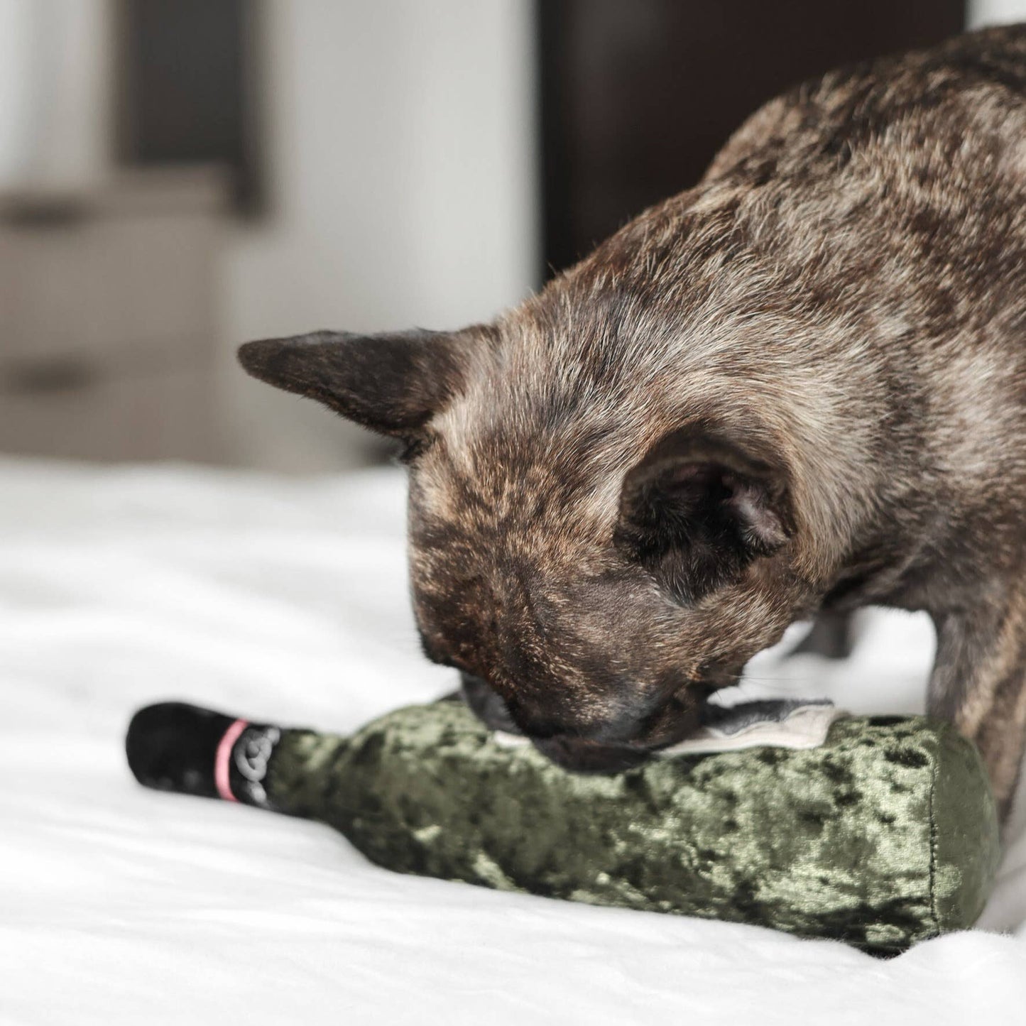 MERLOT//ENRICHMENT DOG TOY