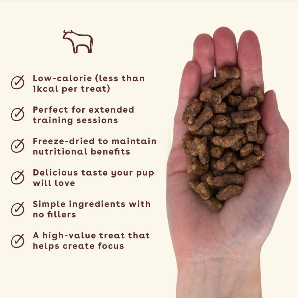 Freeze Dried Beef Liver Training Treats 2oz