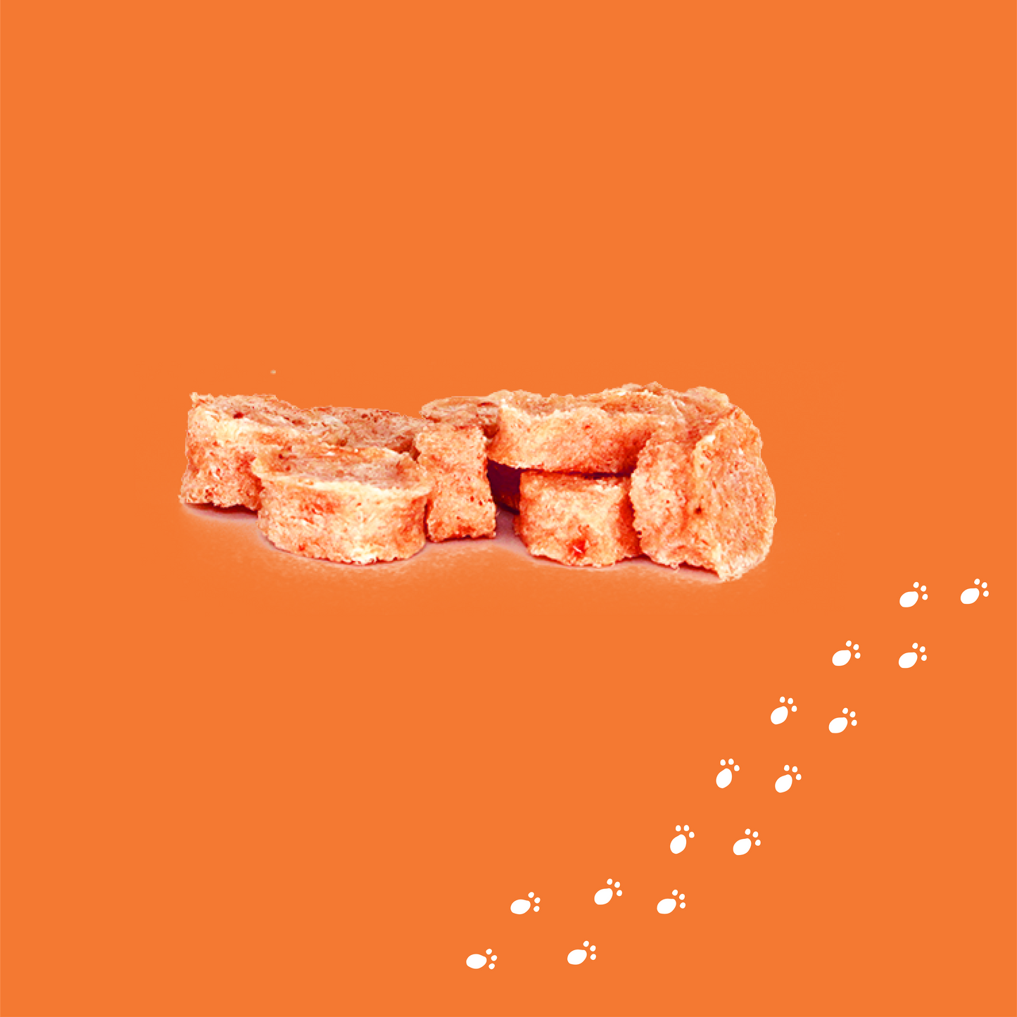 CAT SALMON MINI MORSELS