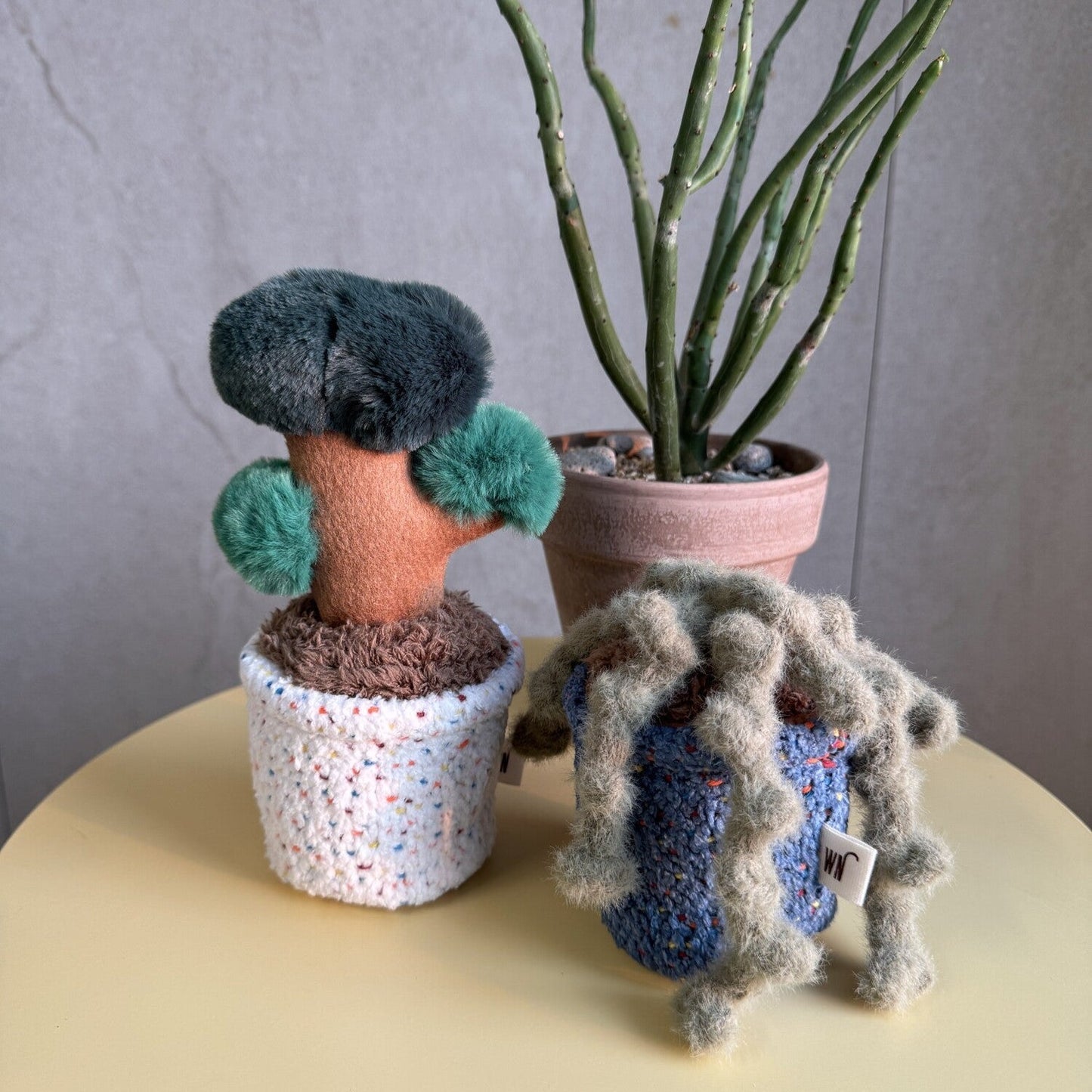 Pot Series