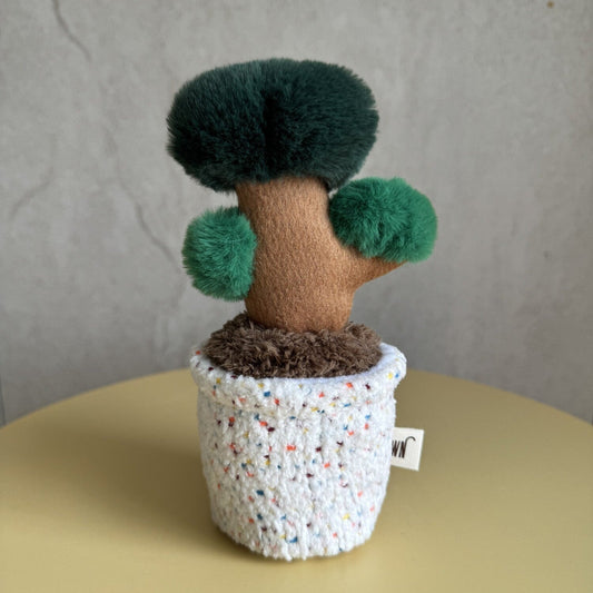 Pot Series