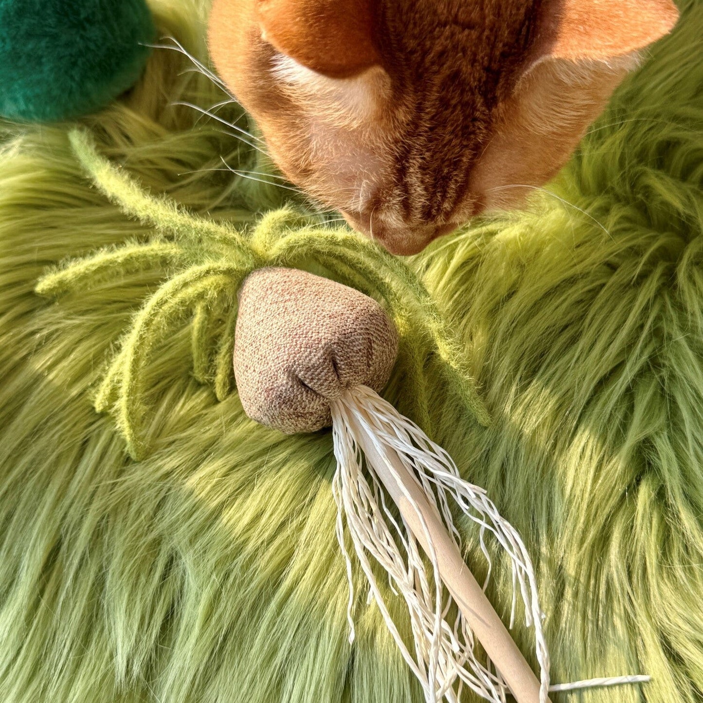 Albuca Wand