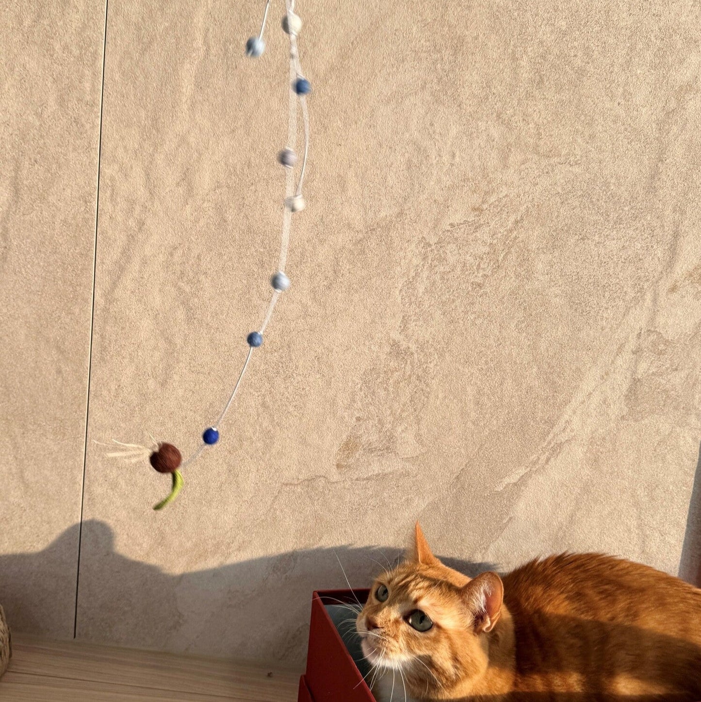 Watering Seed Rod