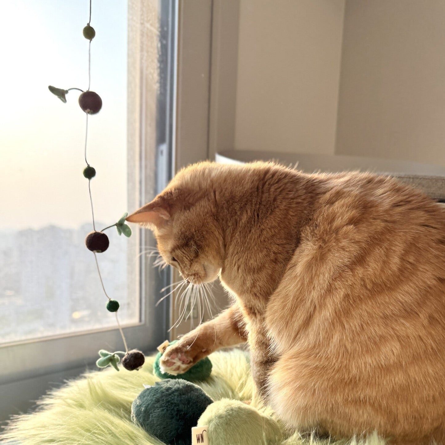 Sprout Rod