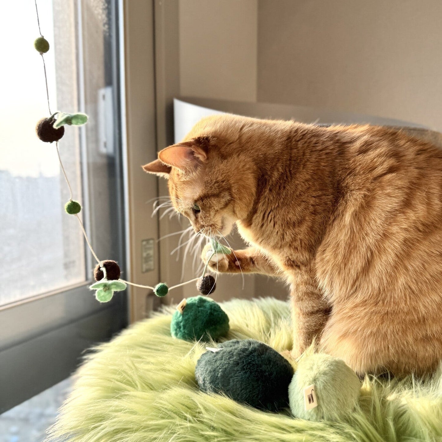 Sprout Rod