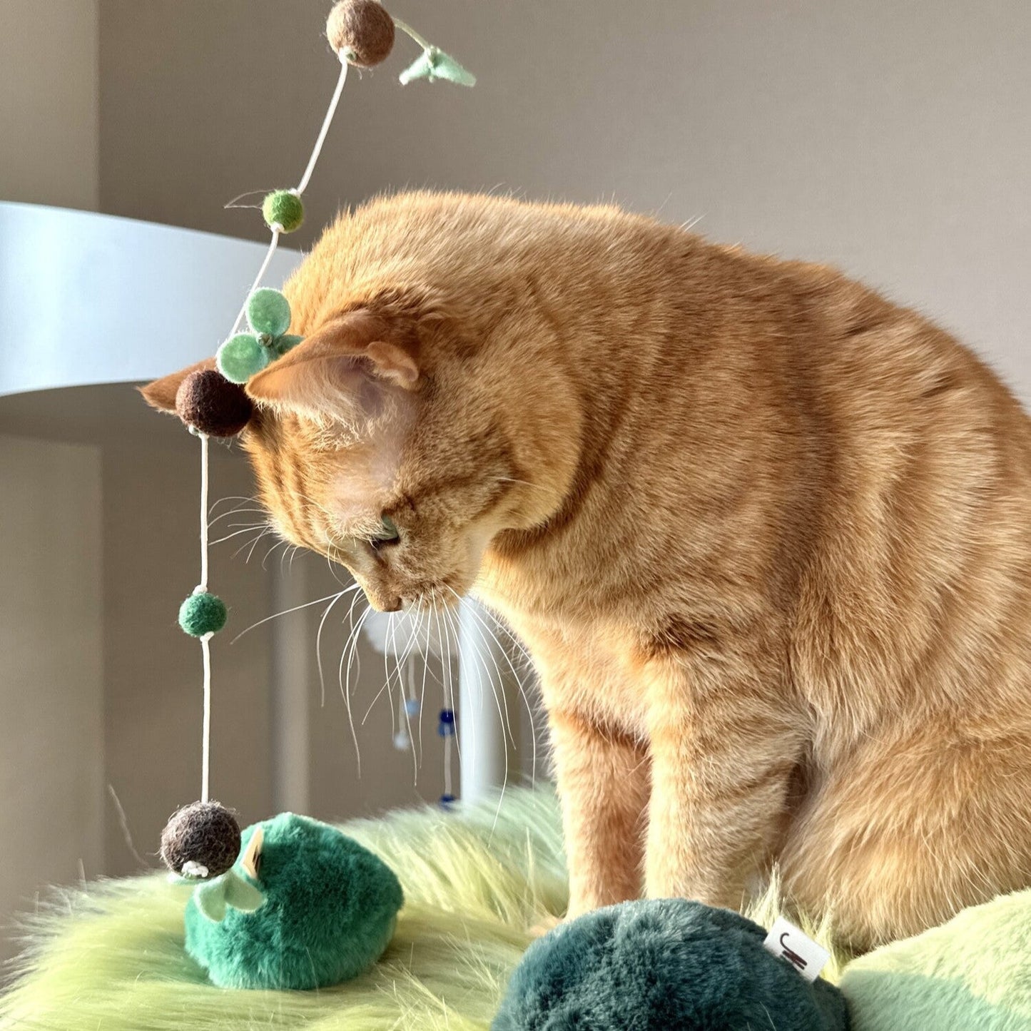 Sprout Rod