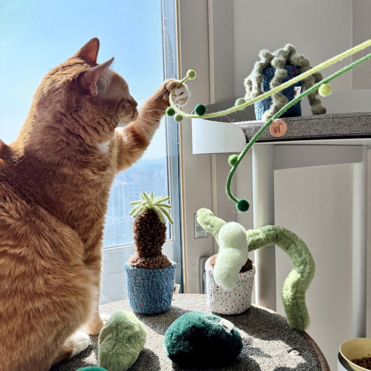 Plant Series
