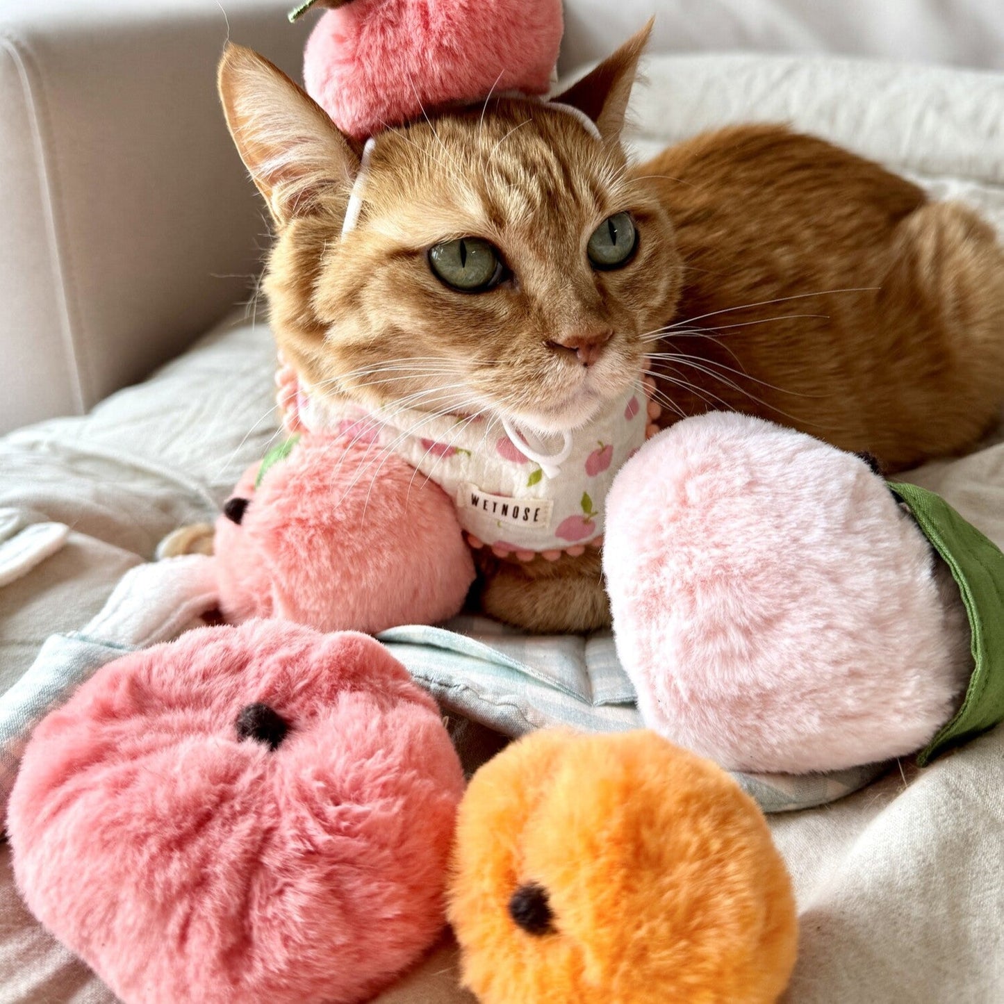Peach Series