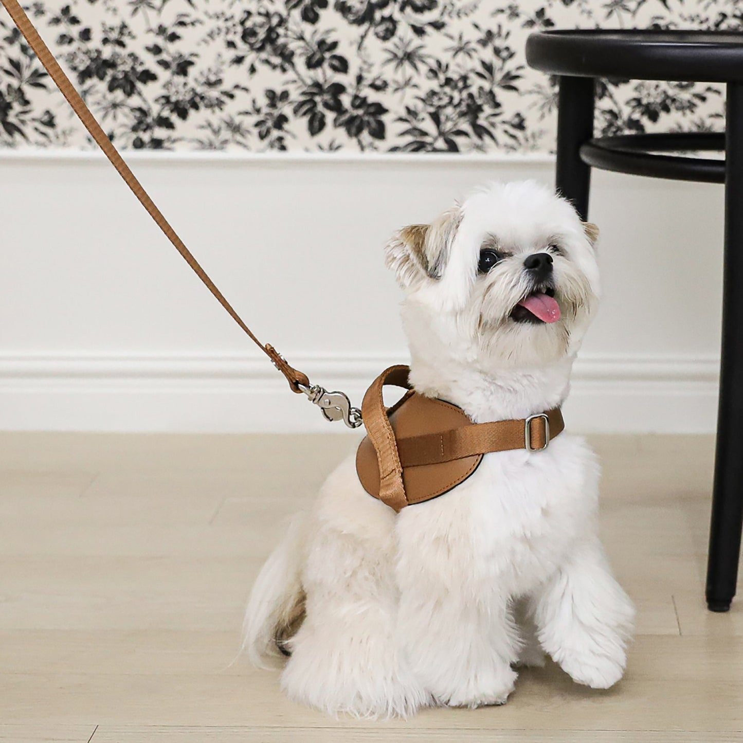 Saddle Hands-free Leash : Camel
