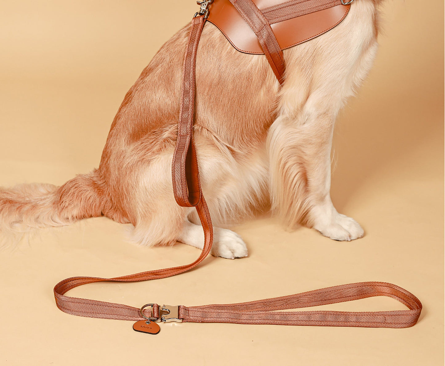 Saddle Hands-free Leash : Camel