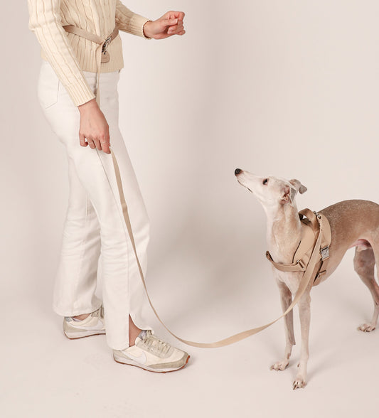 Saddle Hands-free Leash : Beige