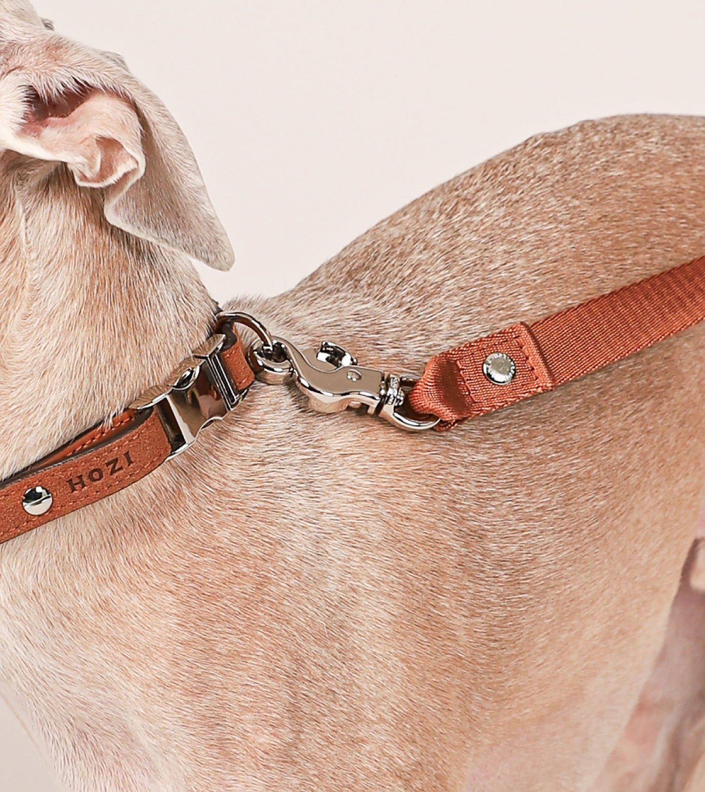 Saddle Hands-free Leash : Camel
