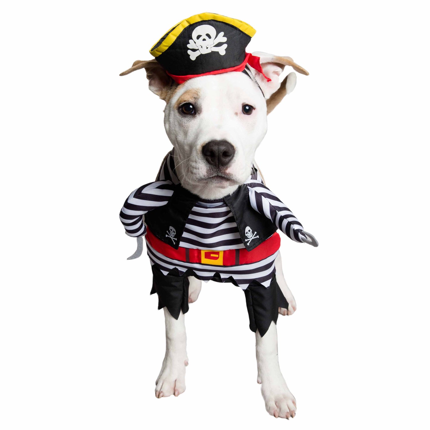 Pirate Costume