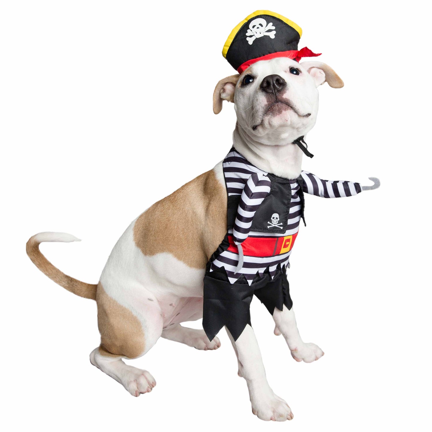 Pirate Costume