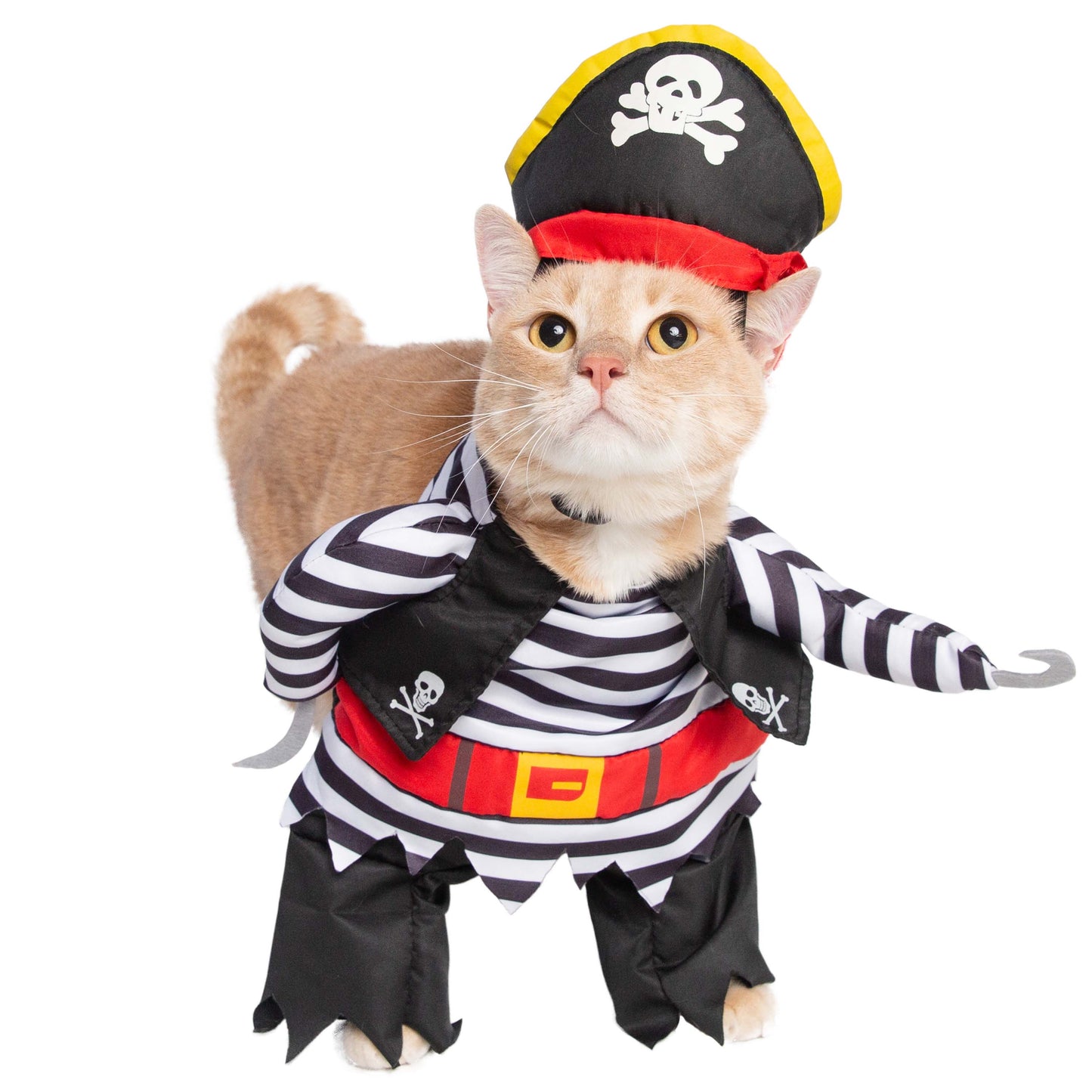 Pirate Costume