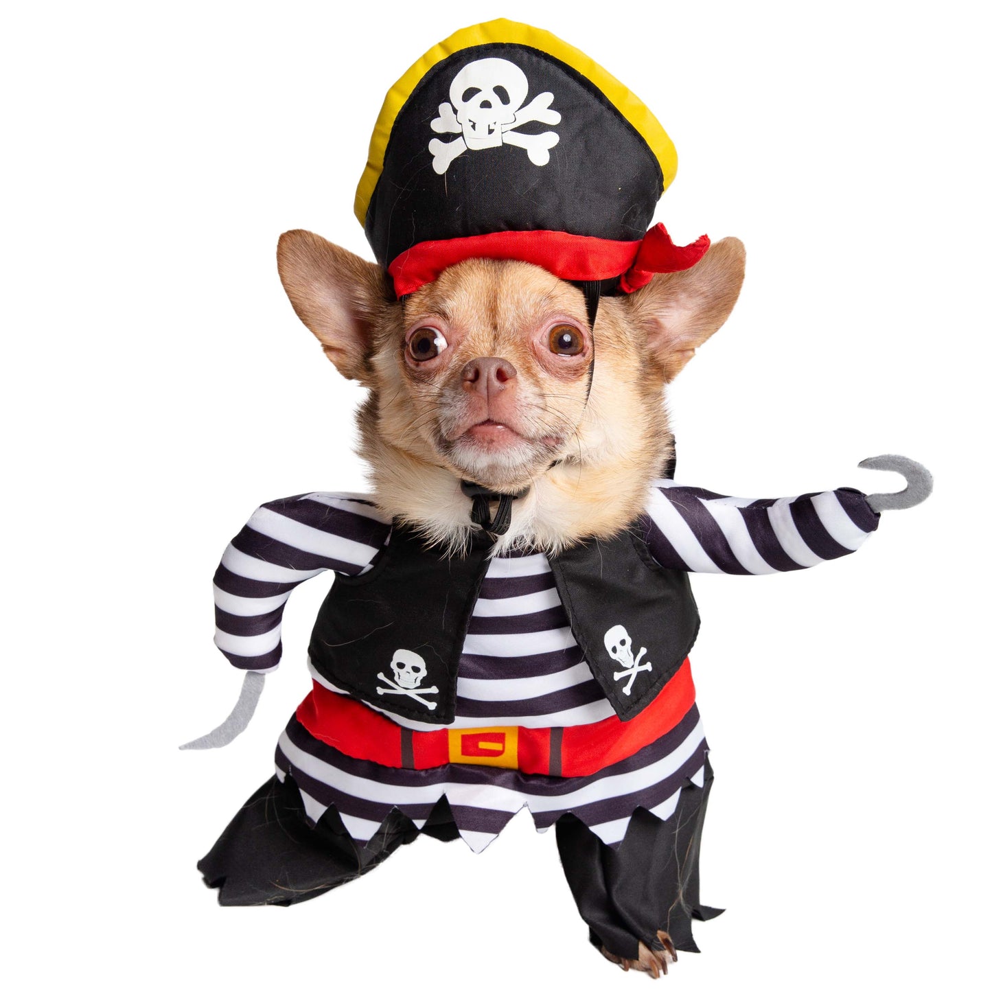 Pirate Costume