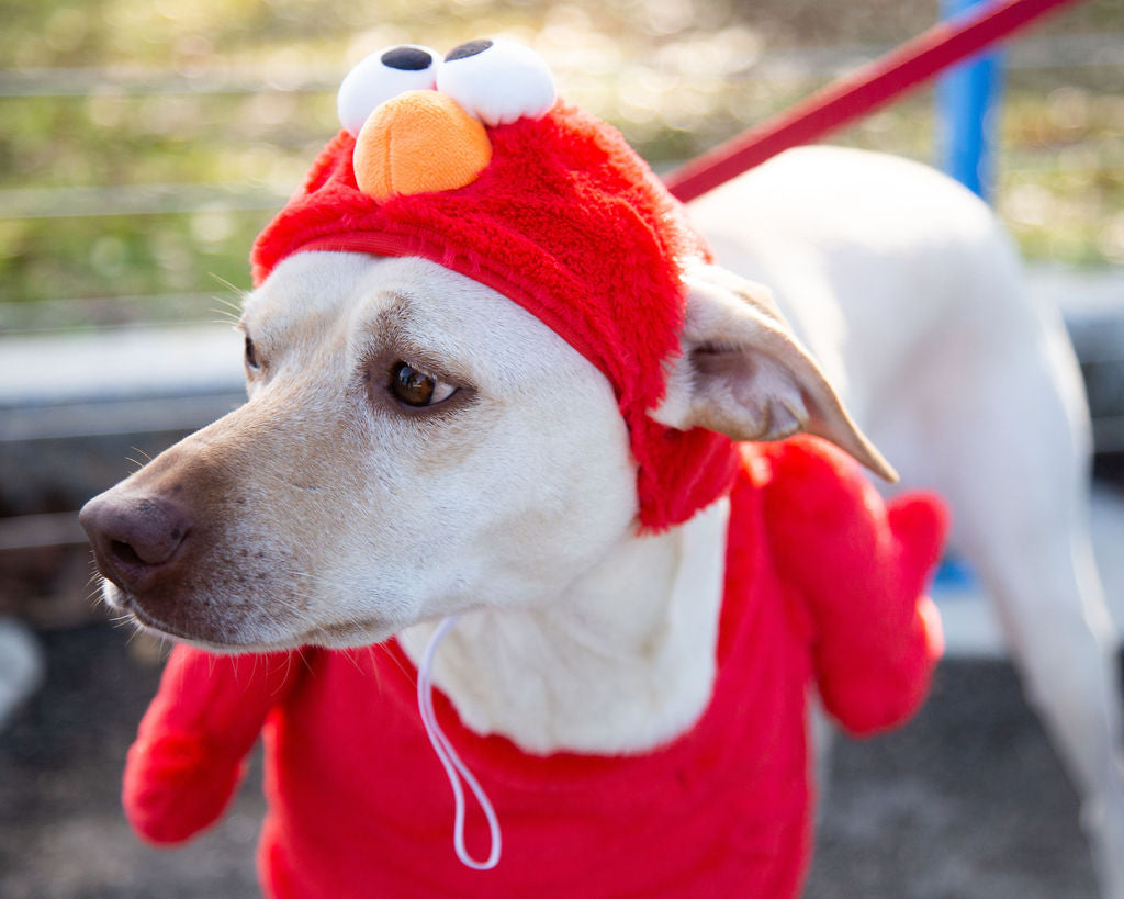 Elmo Costume