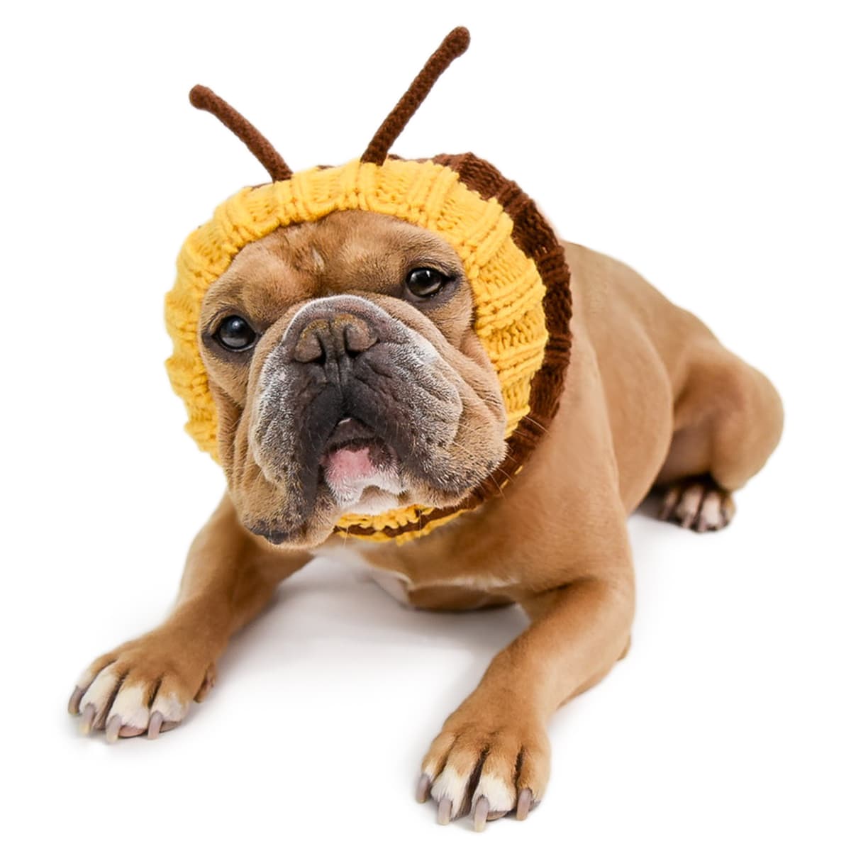 Bee Zoo Snood - M