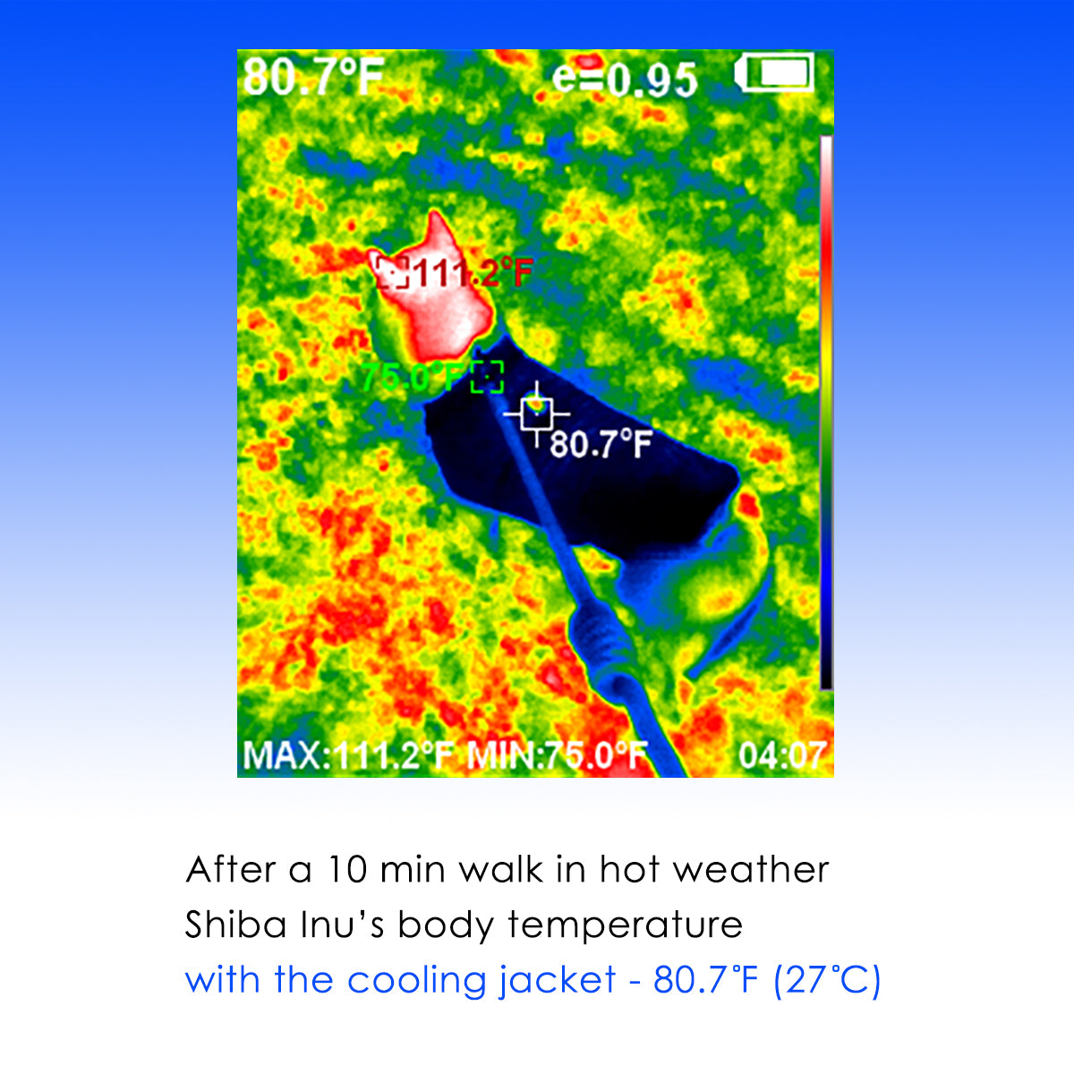 LCB Green Leaf Cooling Jacket