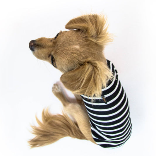 Brittany - Long Sleeves