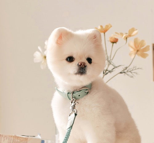 Stroll Light Weight Rope Collar