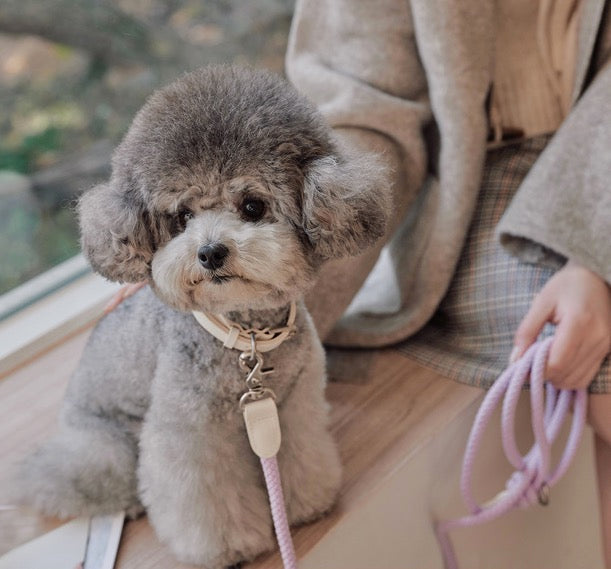 Stroll Light Weight Rope Collar