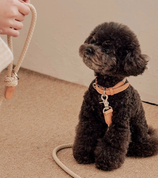 Stroll Light Weight Rope Collar
