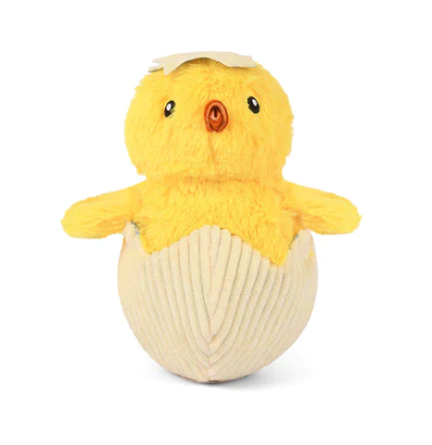 Hatching Chick