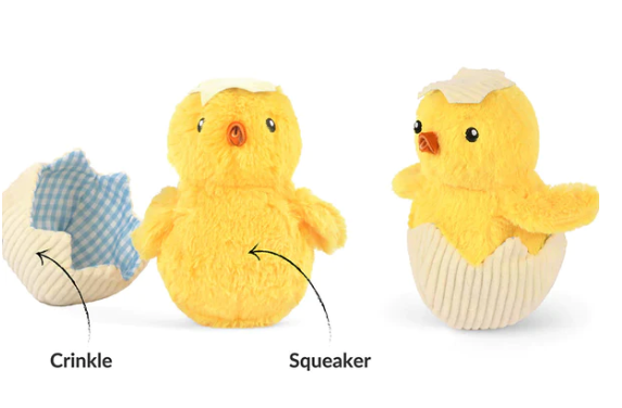 Hatching Chick