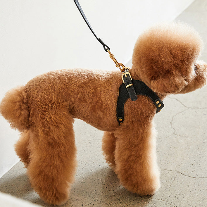 Delight Belt Harness - Vegan Leather – Le Chien Bleu NY