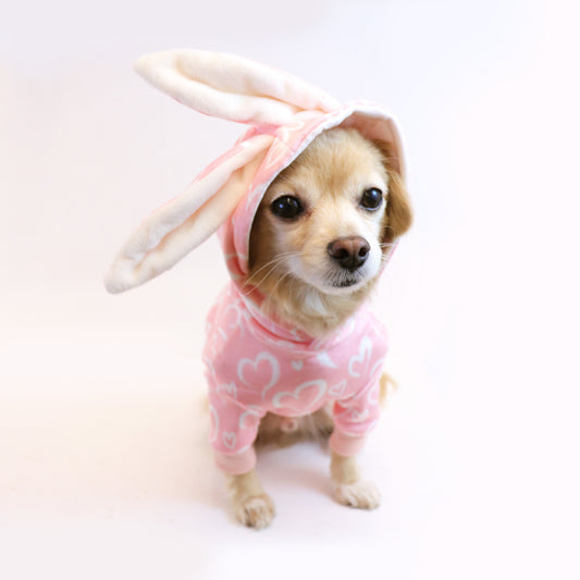 Sweetheart Bunny Hoodie