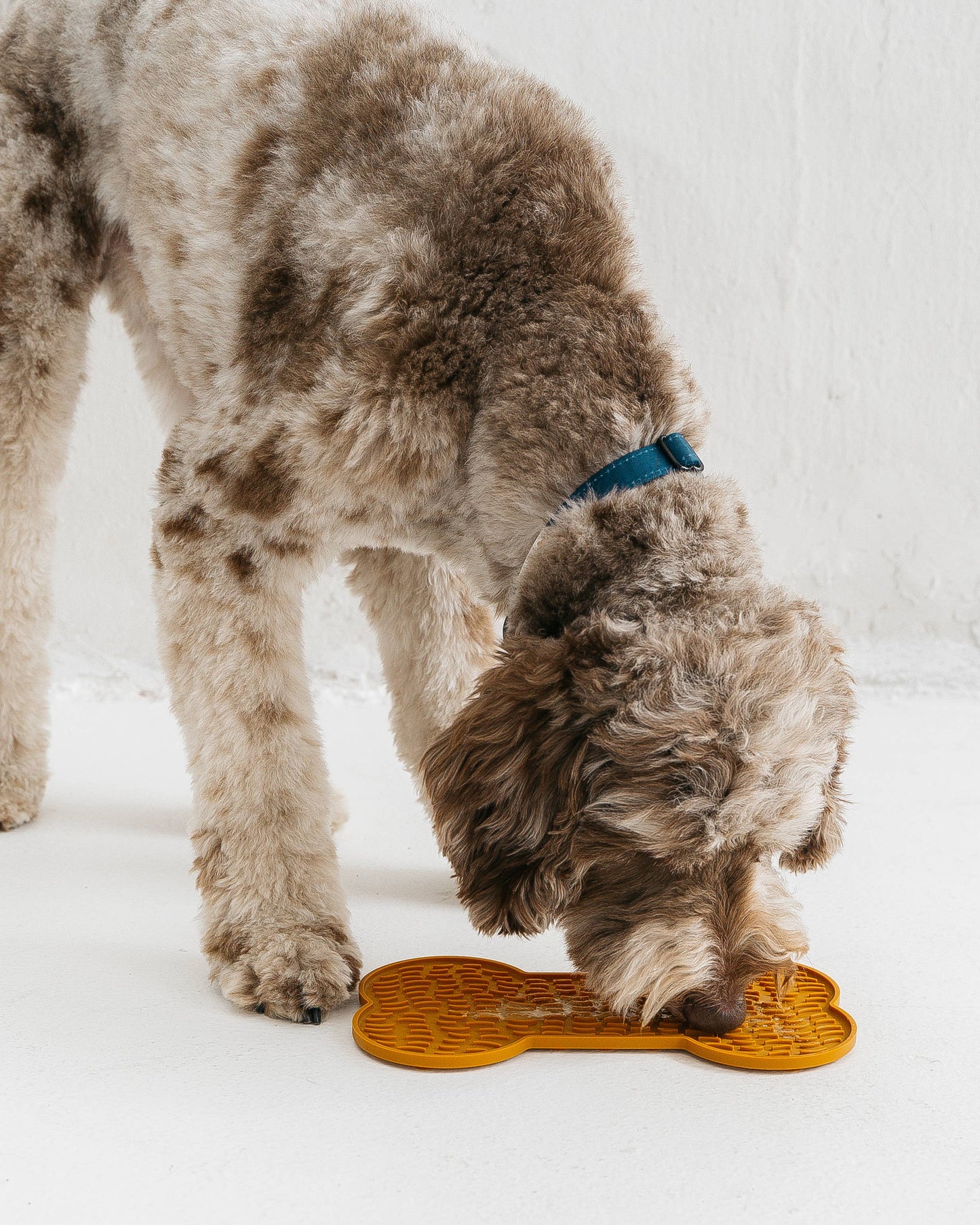 Dog Bone Enrichment Licking Mat - Brown