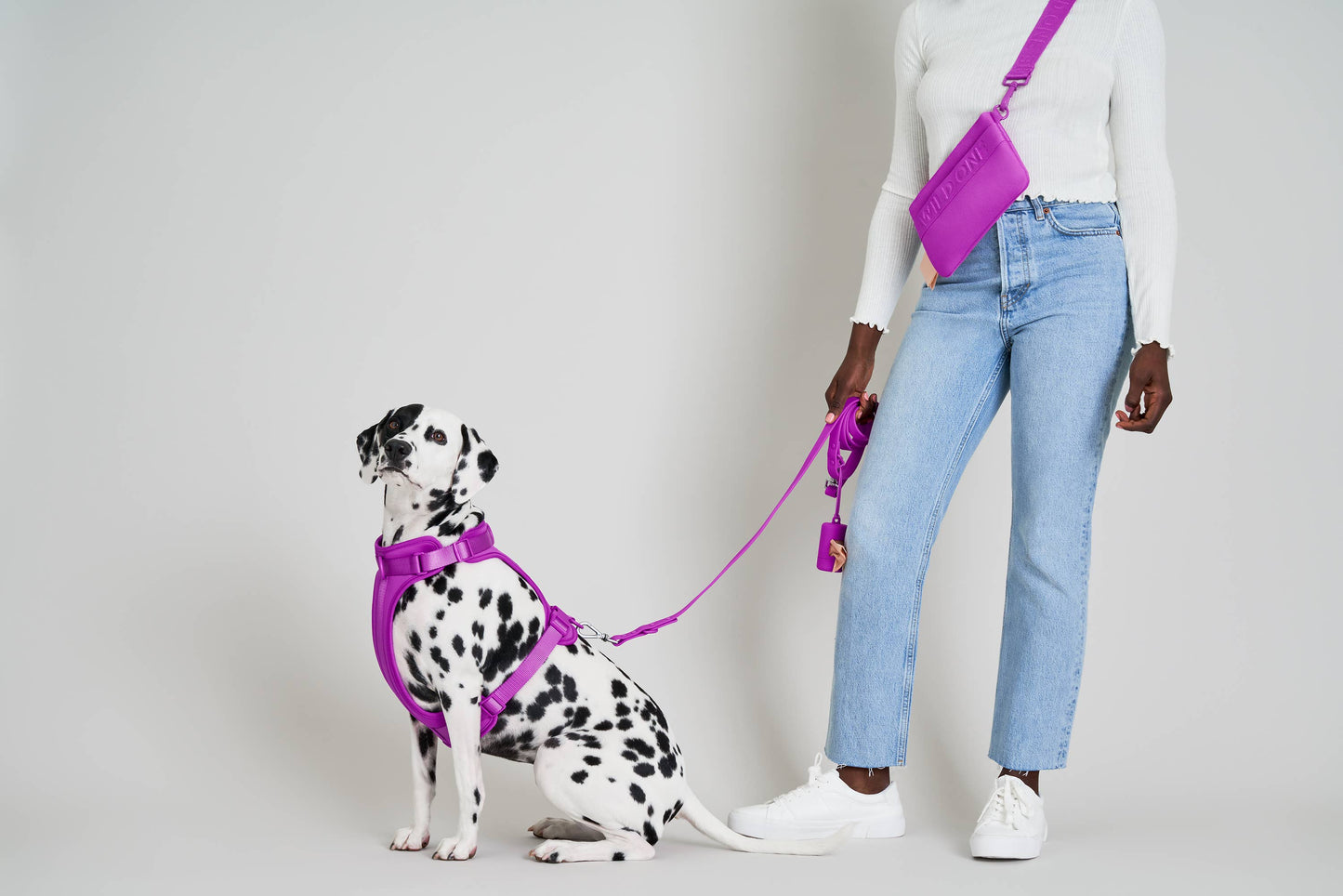 Adjustable Waterproof Dog Leash