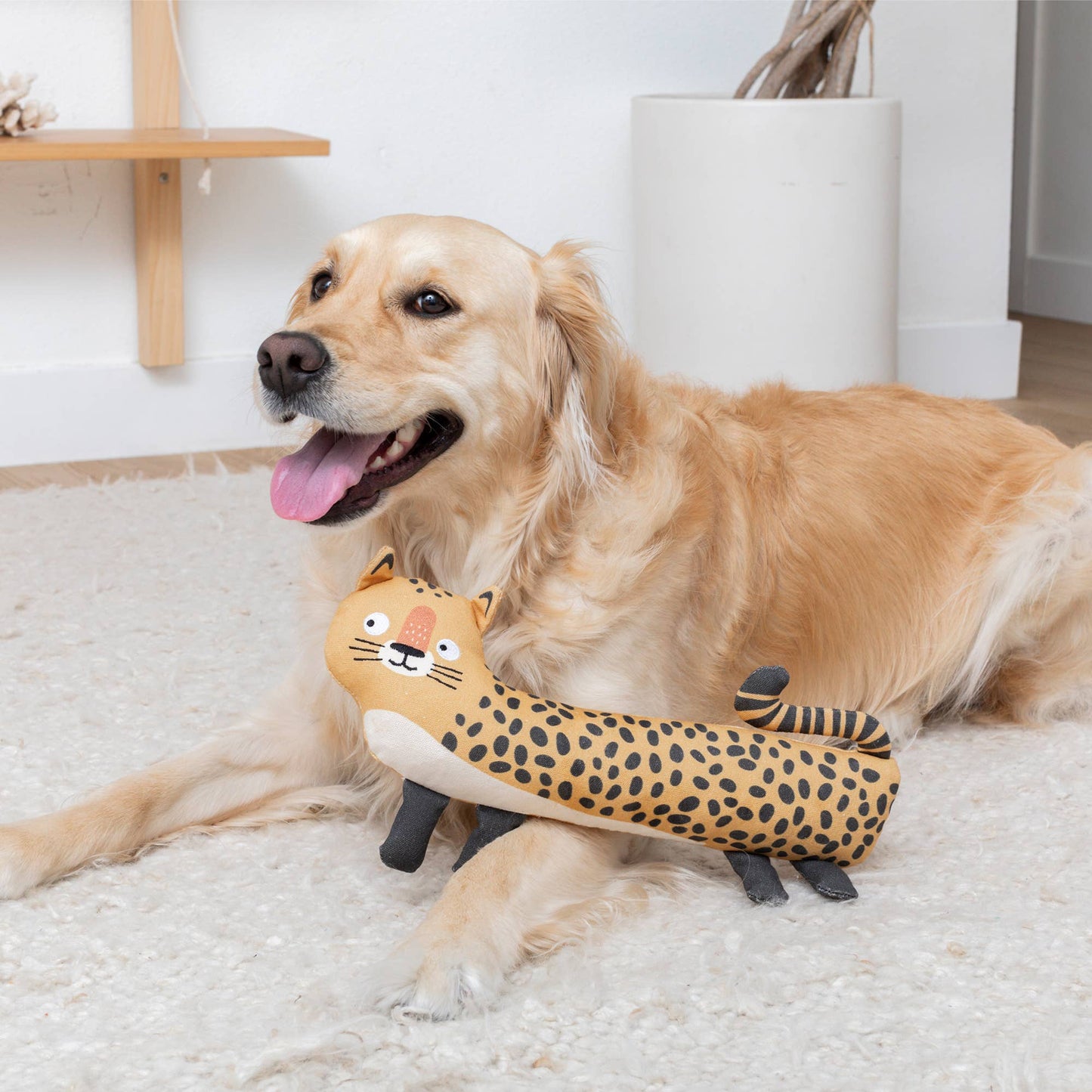 EARTH FRIENDLY DOG TOY I'VE BEEN SPOTTED
