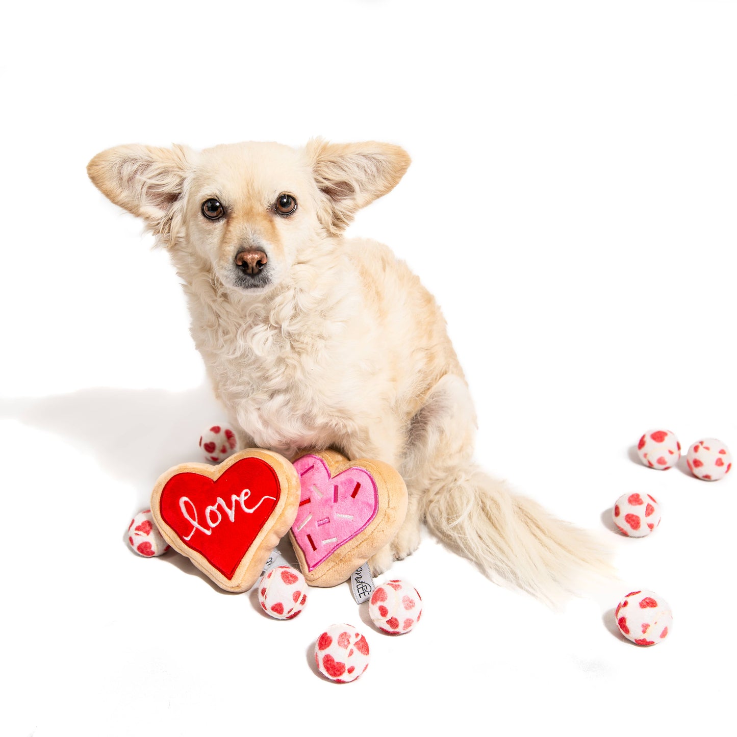 Valentine's Hearts Dog Tennis Balls: Regular