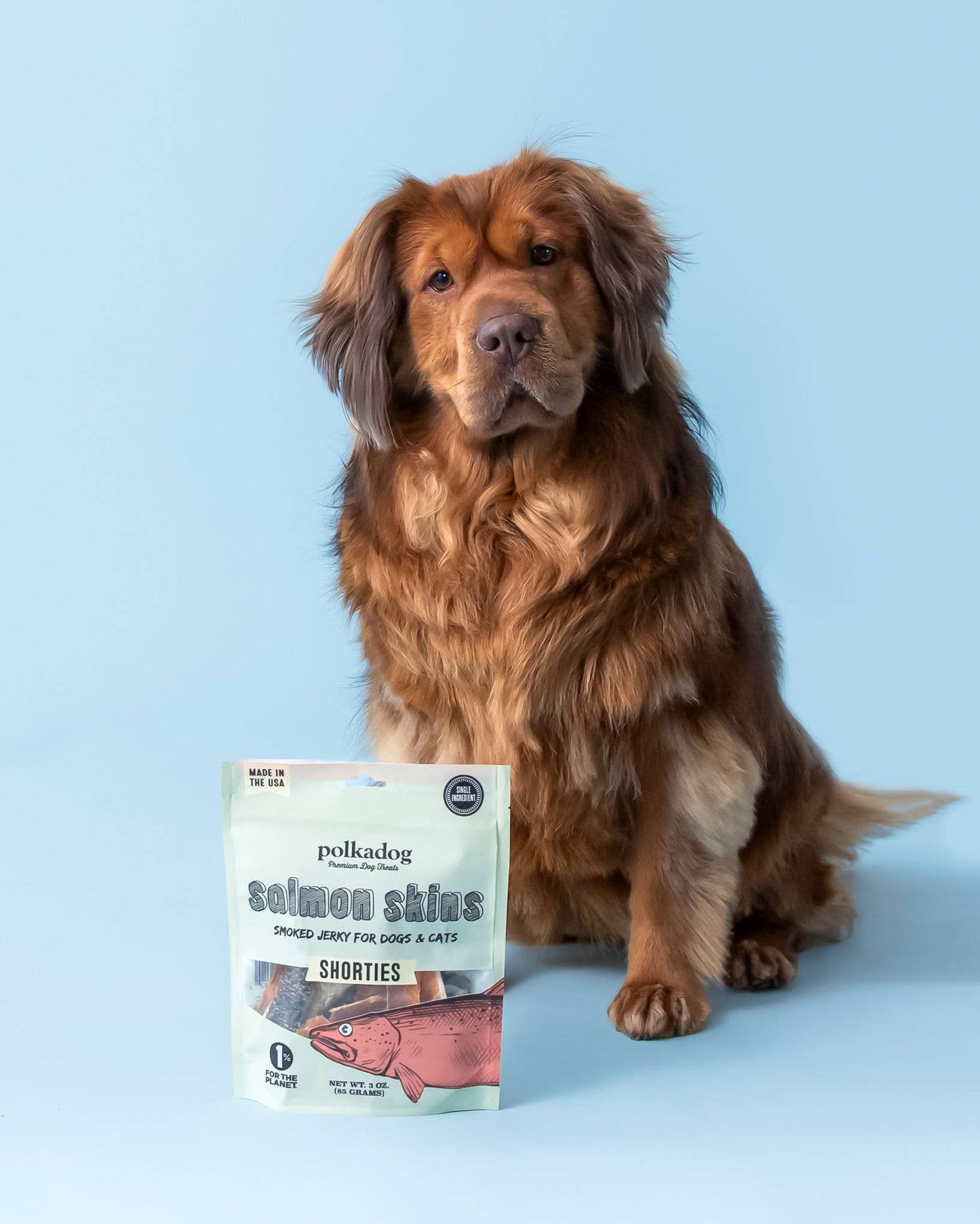 Salmon Skins Smoked Jerky - 3oz - Dog & Cat Treats