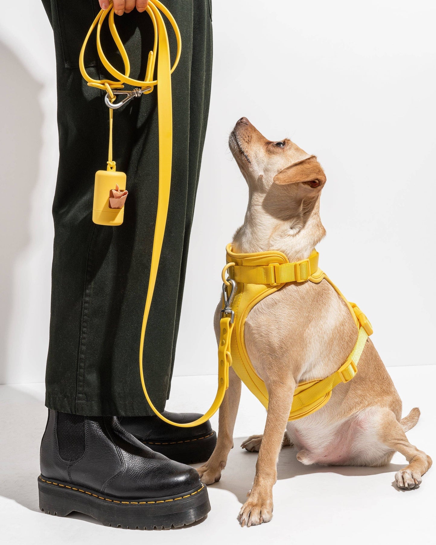 Poop Bag Carrier Dispenser for Pets & Dogs